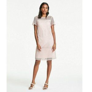 NWT Ann Taylor Shift Lined Dress Lace Overlay